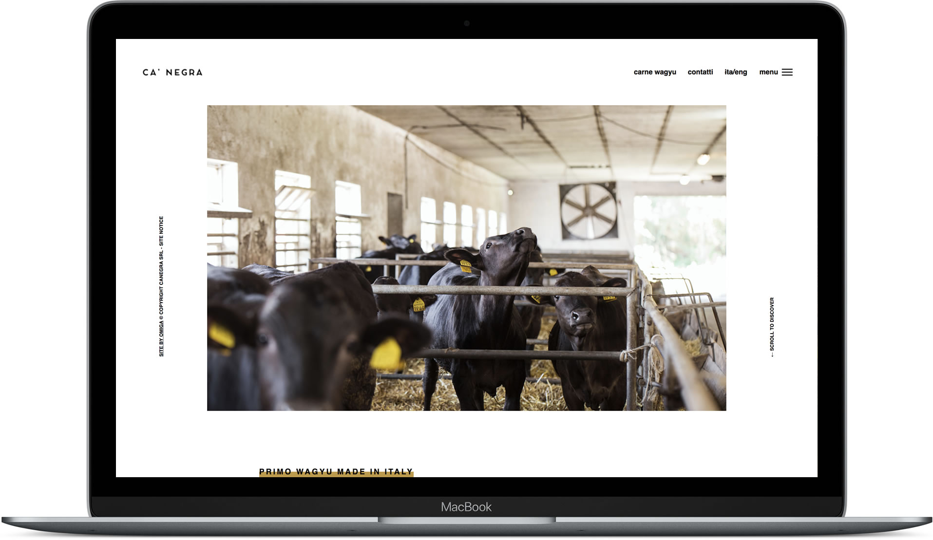 Website designed for Ca'Negra mocked up in MacBook