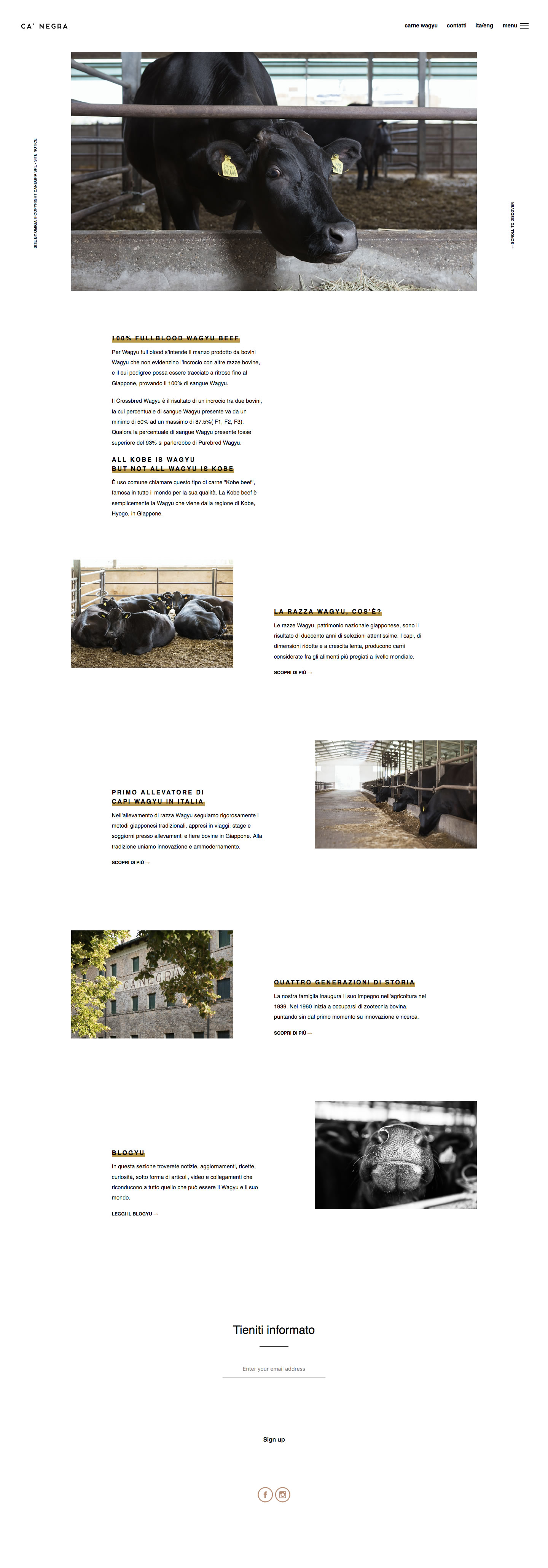 Screenshot of website designed for Ca'Negra